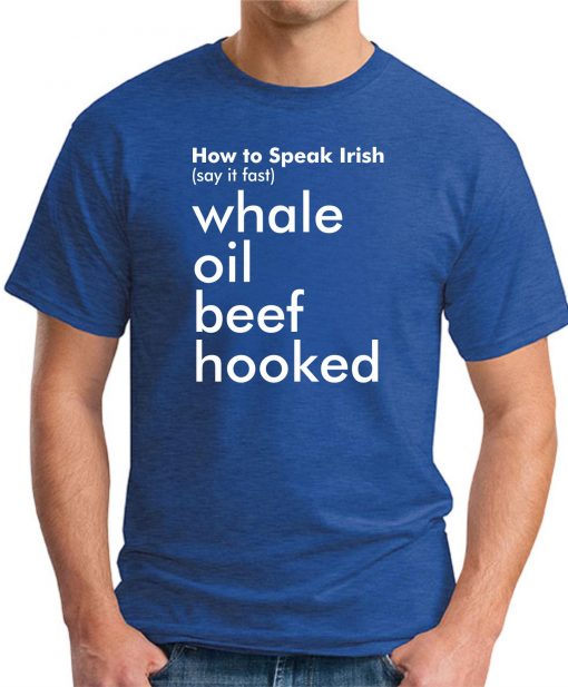 HOW TO SPEAK IRISH Royal Blue