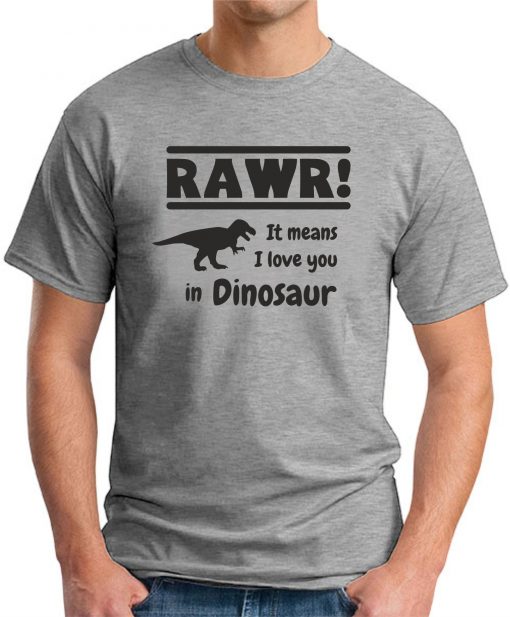 RAWR! IT MEANS I LOVE YOU IN DINOSAUR grey