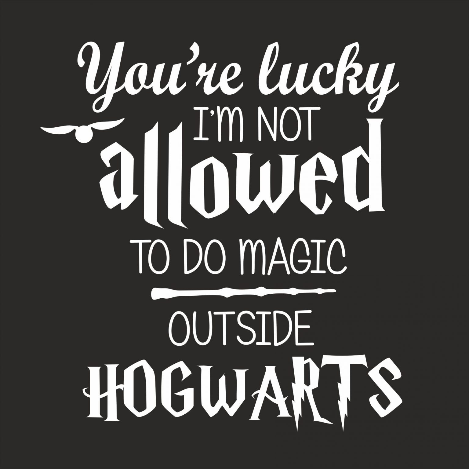 YOU'RE LUCKY I'M NOT ALLOWED TO DO MAGIC OUTSIDE HOGWARTS TSHIRT GeekyTees